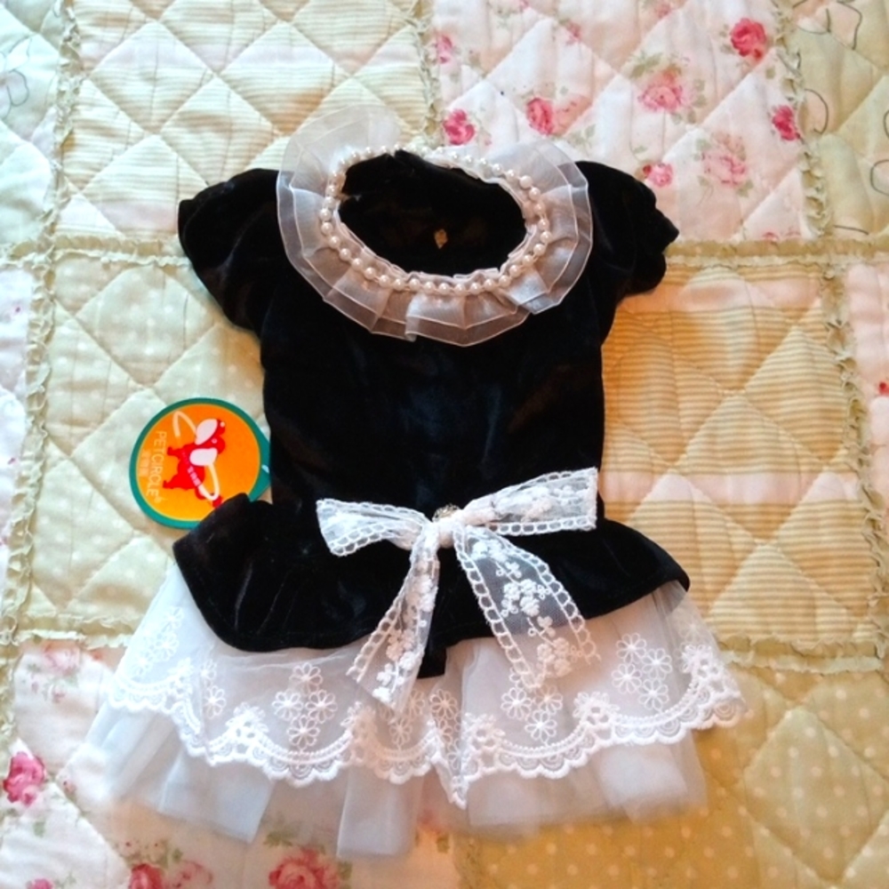 NWT Black Velvet Pet Dress